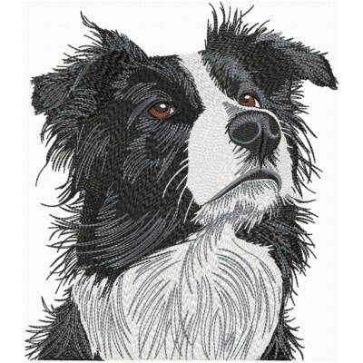 border-colllieembroidery-design-dog-machine-embroidery broderie-de-border-collie-magnifique-chien-realiste-pour-broderie-machine, chien de berger
